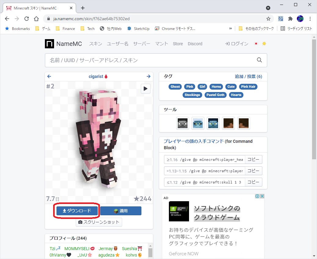 MCBE_Win10_get_skin_from_web2.png