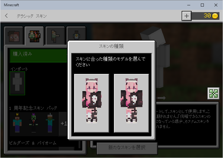 MCBE_Win10_pause_profile_edit_import2.png
